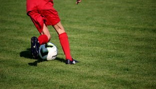 开云app-篮球运动员心理韧性培养与干预体系，篮球运动员的心理选材